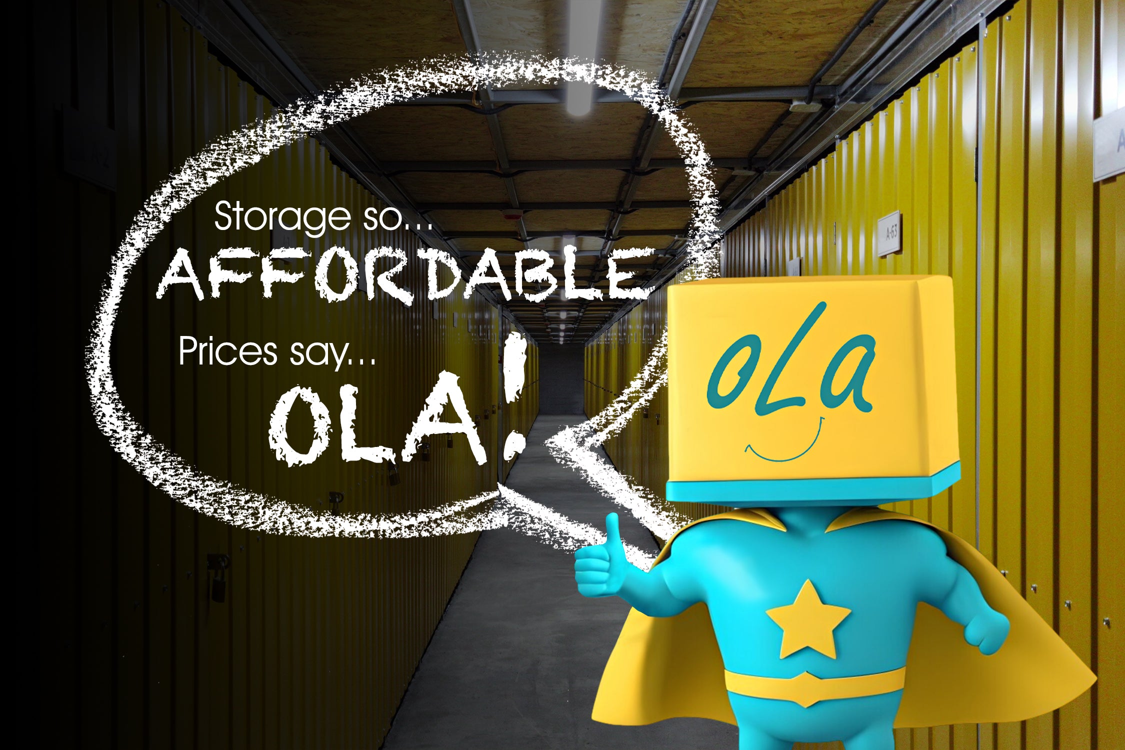 OLA Storage Banner
